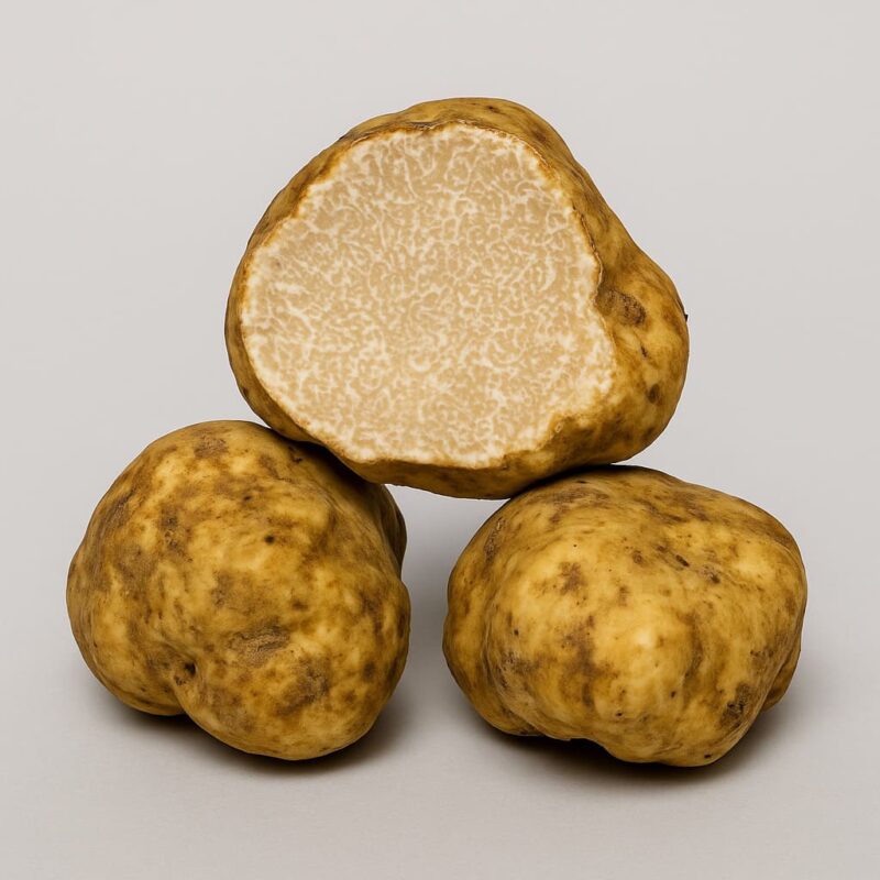 tartufo bianco pregiato
