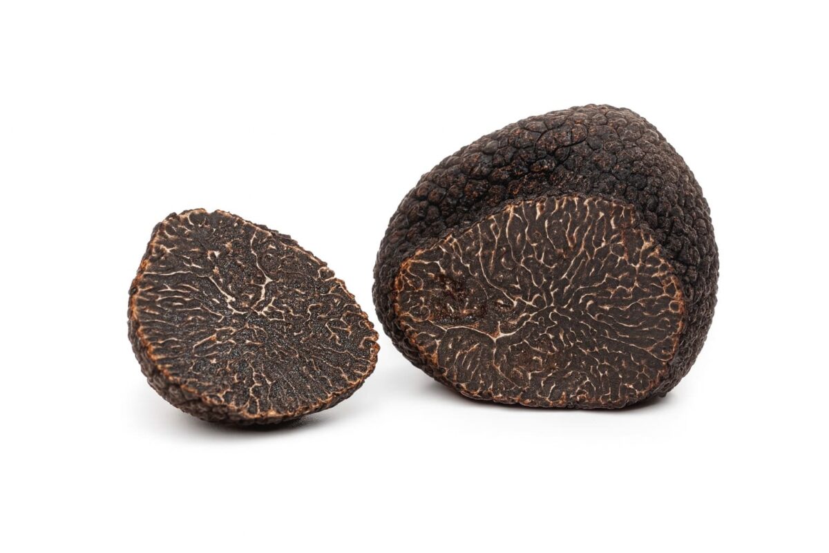 tartufo nero pregiato o di Norcia